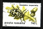 Sellos de Europa - Rumania -  Coleóptero