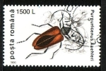 Stamps Romania -  Coleóptero