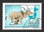 Sellos de Europa - Hungra -  C427E - Impala