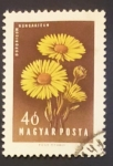 Stamps Hungary -  RESERVADO MANUEL BRIONES