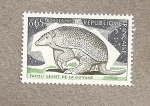 Stamps : Europe : France :  Armadillo gigante de la Guayana