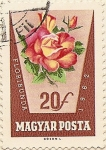 Stamps Hungary -  FLORIBUNDA