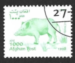  de Asia - Afganistn -  (C) - Cerdo
