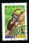 Stamps Bulgaria -  Coleoptero