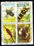 Stamps : America : Cuba :  Navidad Insectos