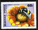 Stamps Hungary -  Himenoptero