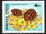 Stamps : Europe : Hungary :  Heteroptero