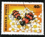 Stamps Hungary -  Coleoptero