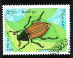 Stamps : Asia : Laos :  Coleoptero
