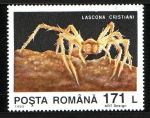 Sellos de Europa - Rumania -  Araña