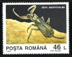 Stamps Romania -  Heteroptero