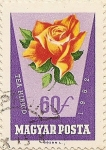 Stamps Hungary -  TEA HIBRID