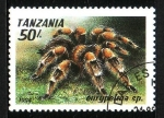Sellos de Africa - Tanzania -  Araña