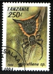Stamps Africa - Tanzania -  Araña