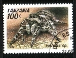 Sellos de Africa - Tanzania -  Araña