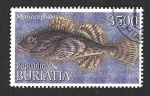  de Europa - Rusia -  (C) Bull-Rout (REP. BURIATIA)