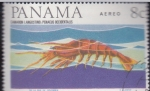  de America - Panam -  CAMARON LANGOSTINO