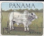  de America - Panam -  TORO