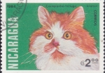  de America - Nicaragua -  GATO CARAPACHO-