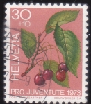 Stamps Europe - Switzerland -  pro juventudes 1973