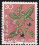 Stamps Europe - Switzerland -  pro juventudes 1974