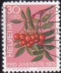 Stamps Europe - Switzerland -  pro juventudes 1975