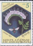  de Europa - Bulgaria -  flor