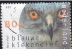  de Europa - Holanda -  Aguilucho pálido