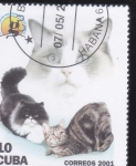 Stamps America - Cuba -  GATOS