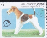 Stamps America - Cuba -  PERRO DE RAZA-FOX TERRIER