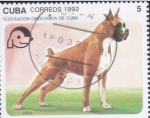 Stamps America - Cuba -  PERRO DE RAZA-BOXER