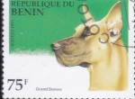 Stamps Africa - Benin -  PERRO DE RAZA- GRAN DANES