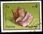 Stamps United Arab Emirates -  Fujeira 1972: Vida marina