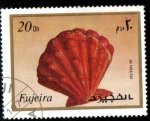 Stamps United Arab Emirates -  Fujeira 1972: Vida marina