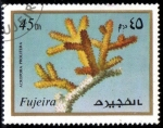 Sellos de Asia - Emiratos �rabes Unidos -  Fujeira 1972: Vida marina