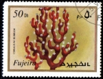 Stamps United Arab Emirates -  Fujeira 1972: Vida marina