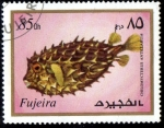 Stamps United Arab Emirates -  Fujeira 1972: Vida marina