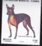 Stamps America - Mexico -  EXPOSICIÓN MUNDIAL CANINA