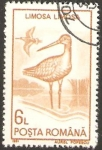 Stamps : Europe : Romania :  fauna, limosa limosa