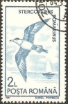 Stamps : Europe : Romania :  fauna, stercorarius romarinus