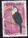 Sellos de America - Surinam -  AVE- tucán