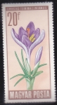 Sellos del Mundo : Europa : Hungr�a : FLORES