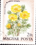 Sellos de Europa - Hungr�a -  FLORES-