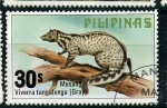 Stamps Asia - Philippines -  Musang