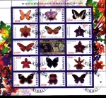  de Africa - Rwanda -  MARIPOSAS Y ORQUIDIAS
