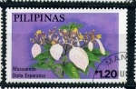 Sellos de Asia - Filipinas -  Dª Esperanza