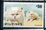 Sellos de Asia - Filipinas -  Chinchilla cat
