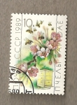 Stamps Russia -  Polinización por abejas