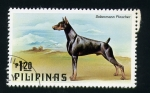 Stamps Philippines -  Dobermann