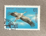Stamps Russia -  Cigüeña